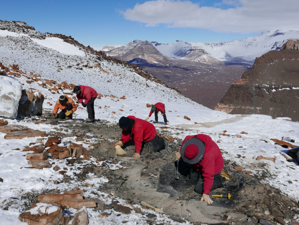 Digging for Fossils in Antarctica